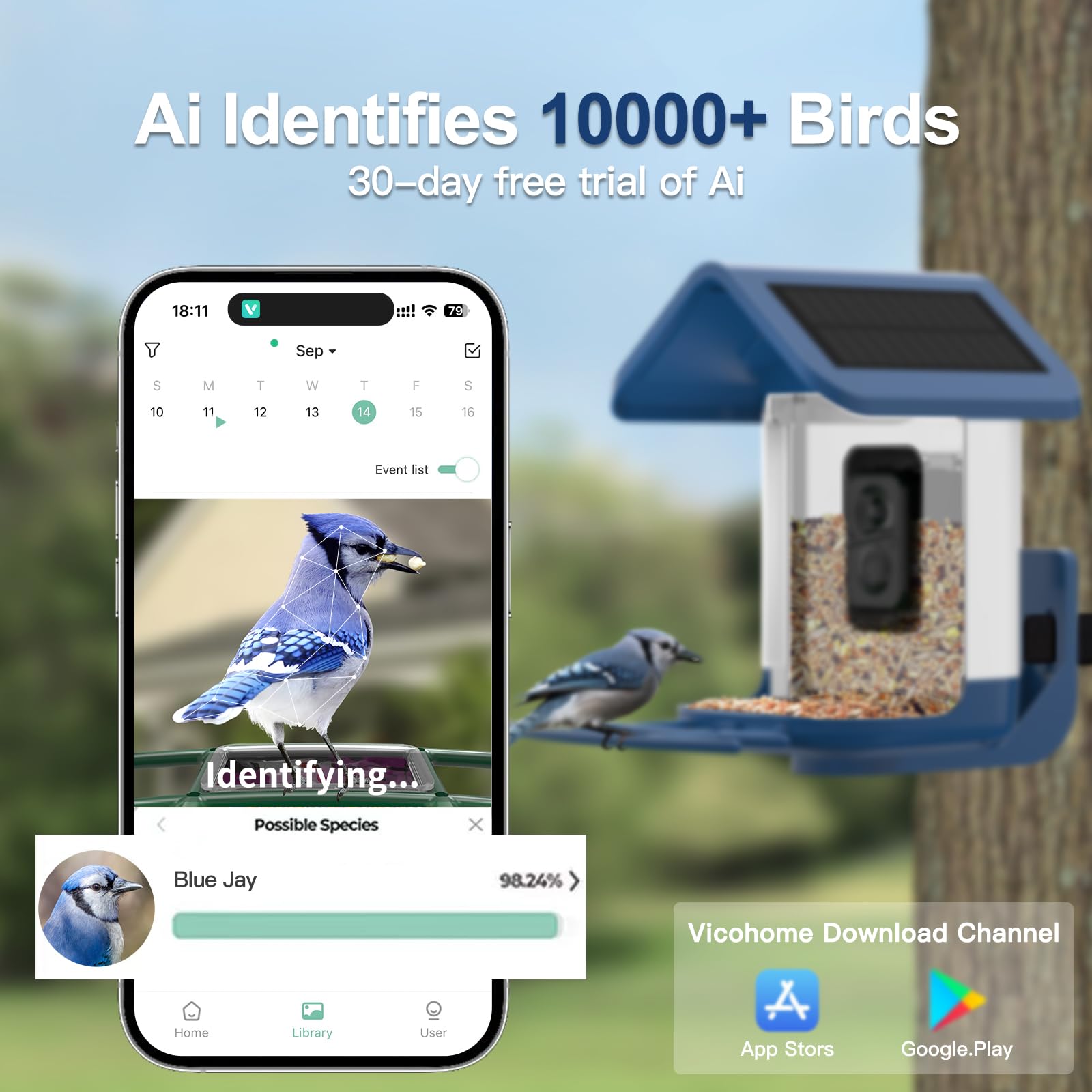 Birds feeding at the onlyfly Smart Bird Feeder