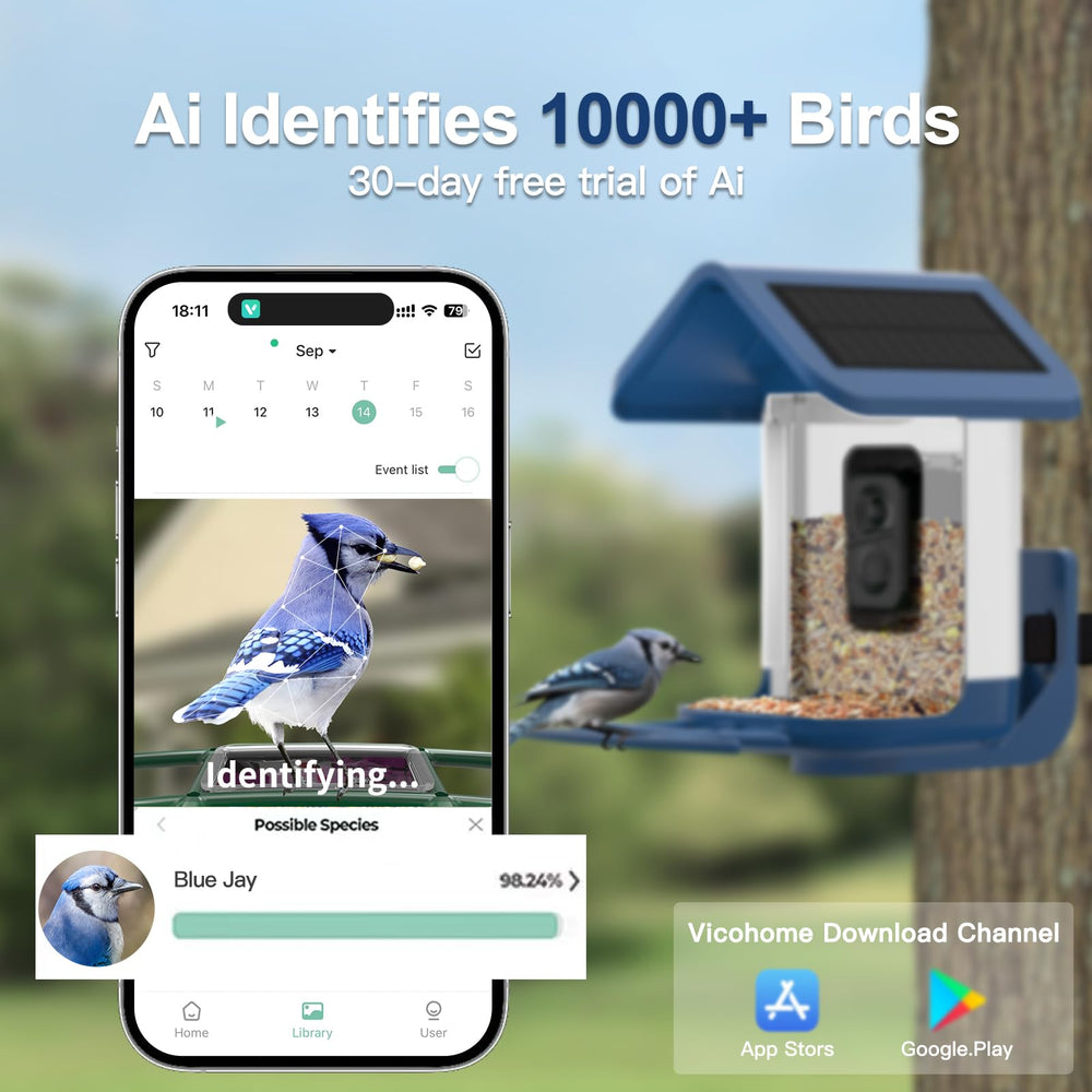 Birds feeding at the onlyfly Smart Bird Feeder