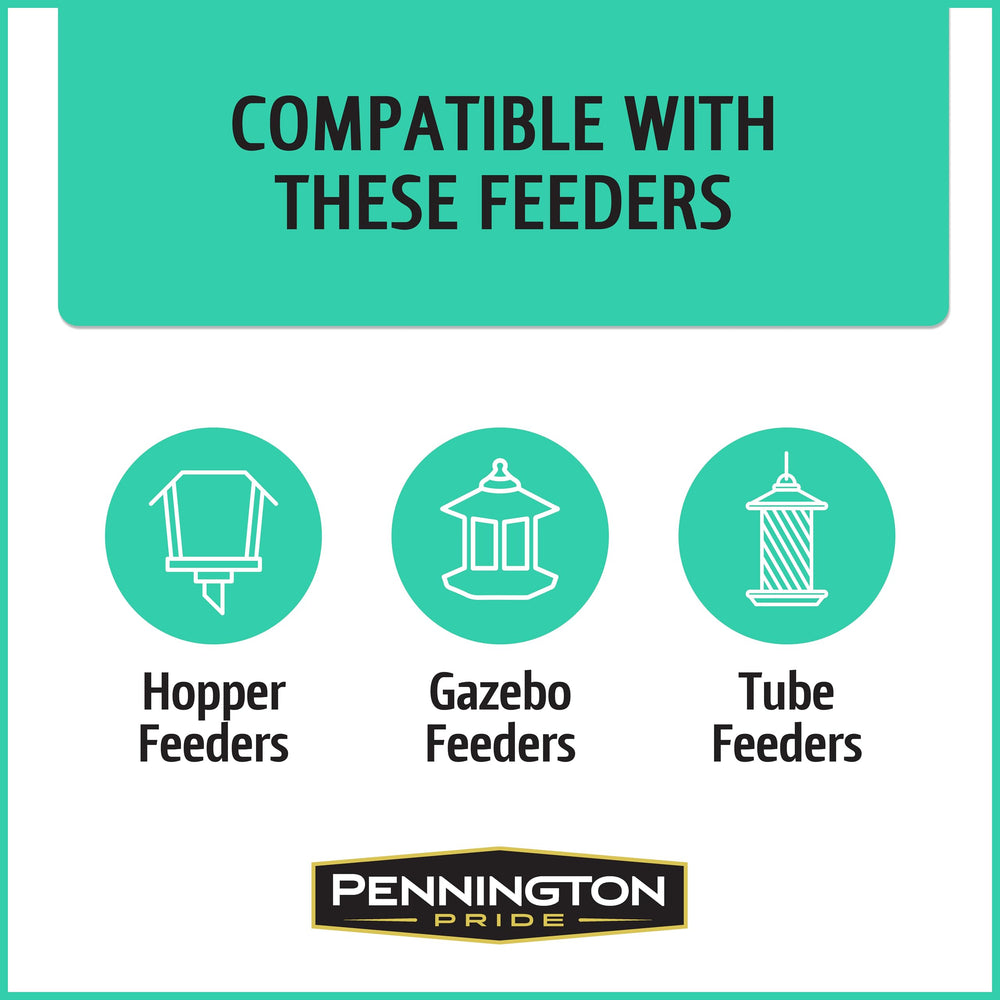 Birds feeding from a tube feeder filled with Pennington seed