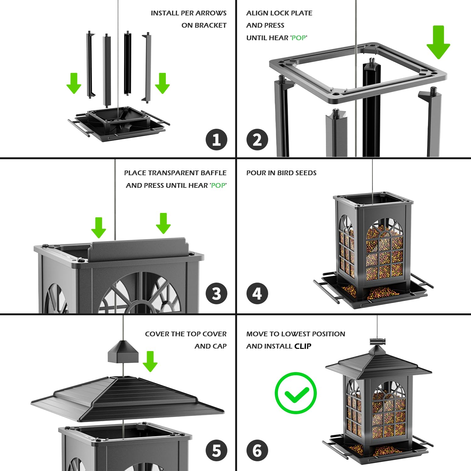 Birds feeding from Birdream Bird Feeder