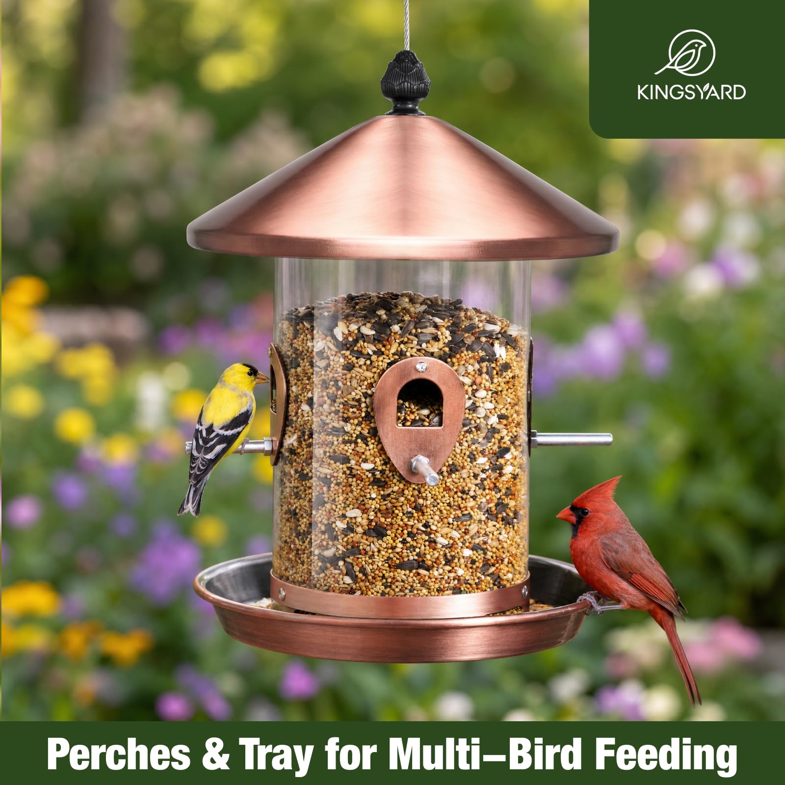 Birds feeding from Kingsyard metal bird feeder