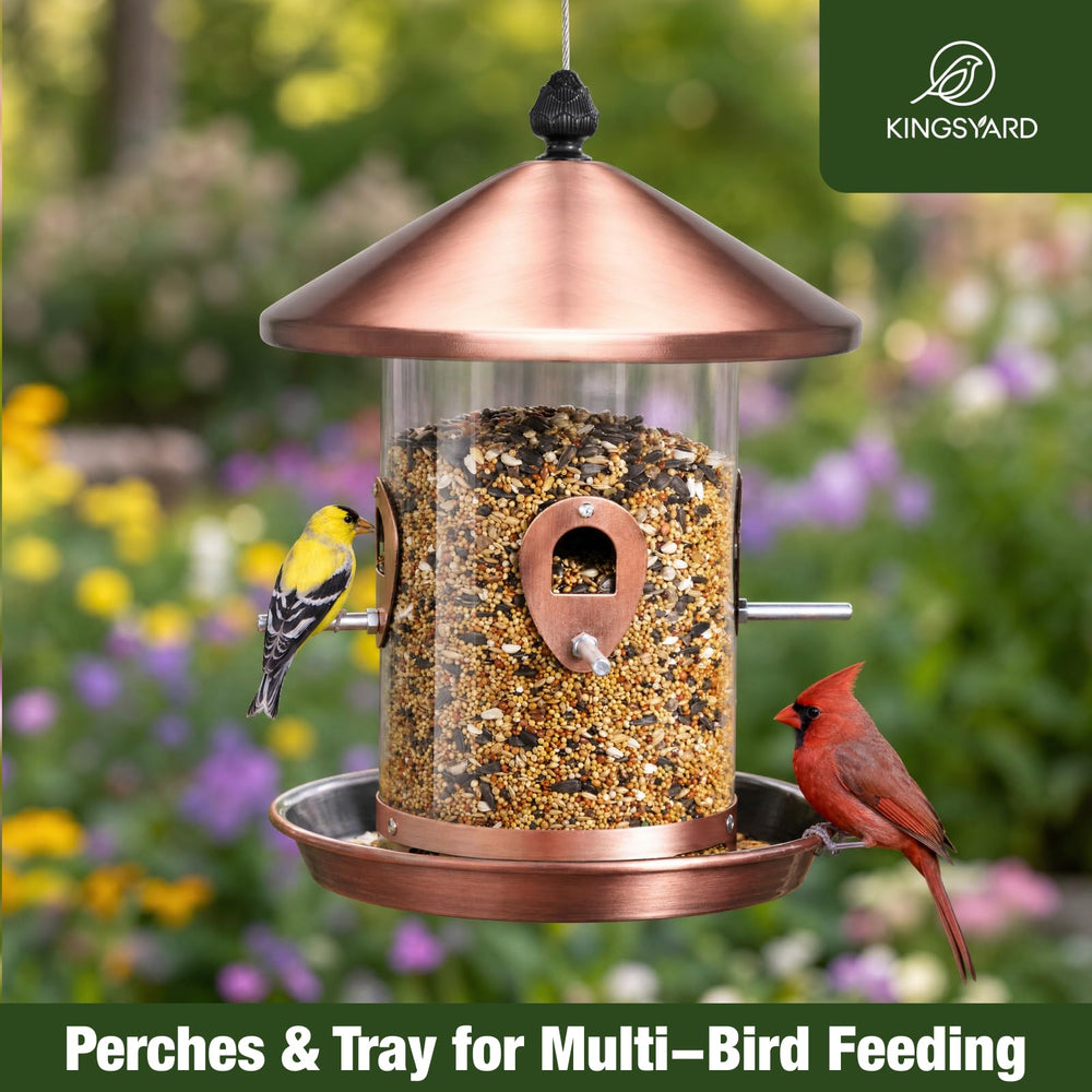 Birds feeding from Kingsyard metal bird feeder