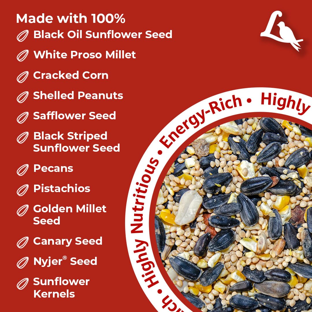 Birds feeding on Lyric bird seed in garden