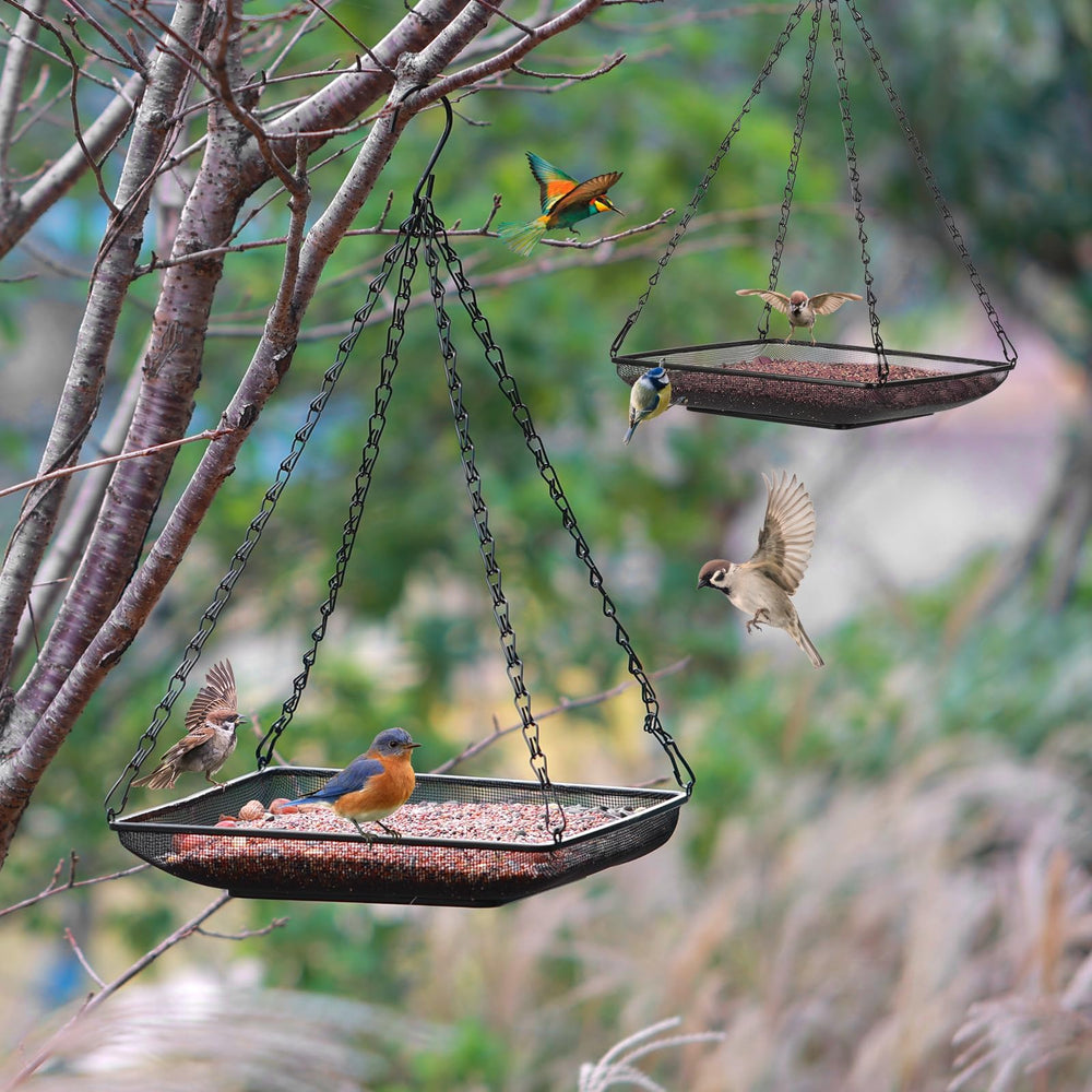 Birds feeding on MIXXIDEA hanging bird feeder tray