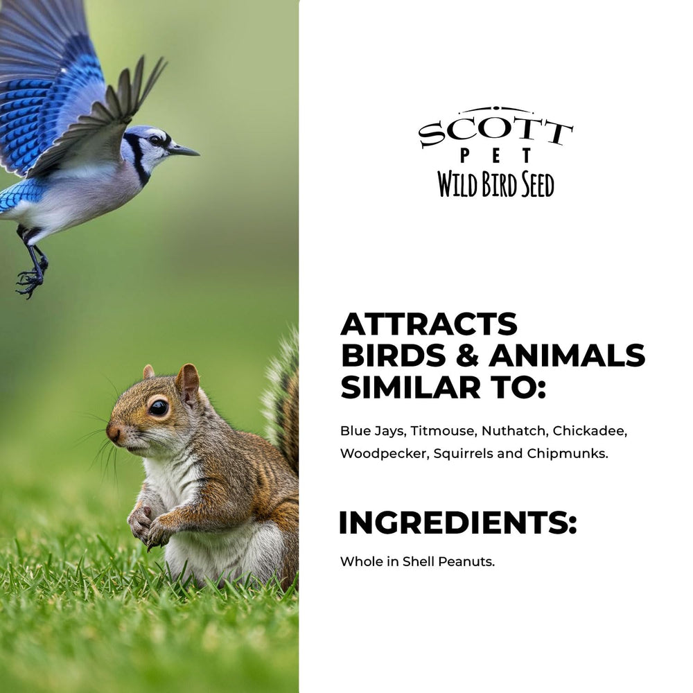 Birds feeding on Scott Pet Whole Peanuts
