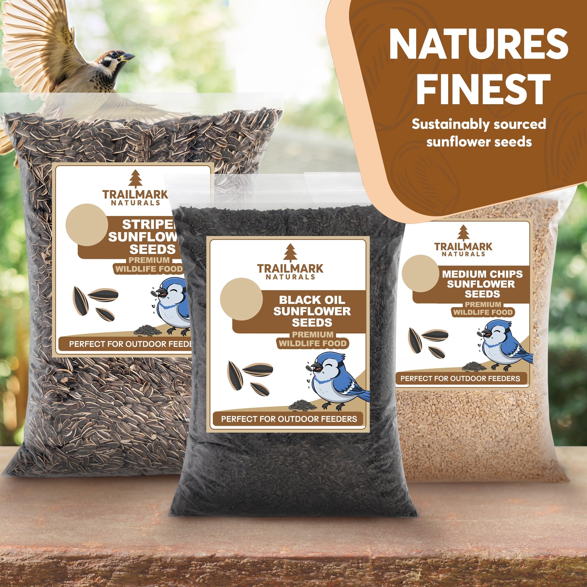 Birds feeding on TRAILMARK NATURALS Black Oil Sunflower Seeds