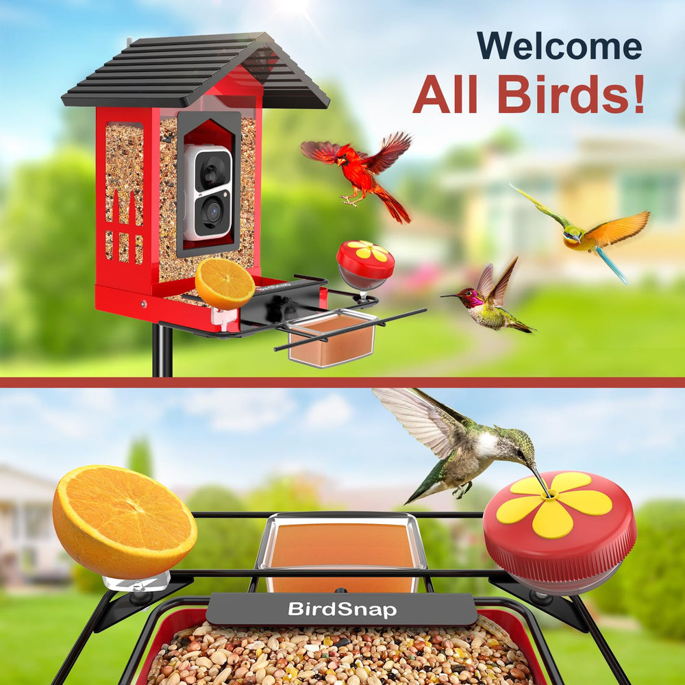 birdsnap APS Metal Bird Feeder with DIY add-ons displayed