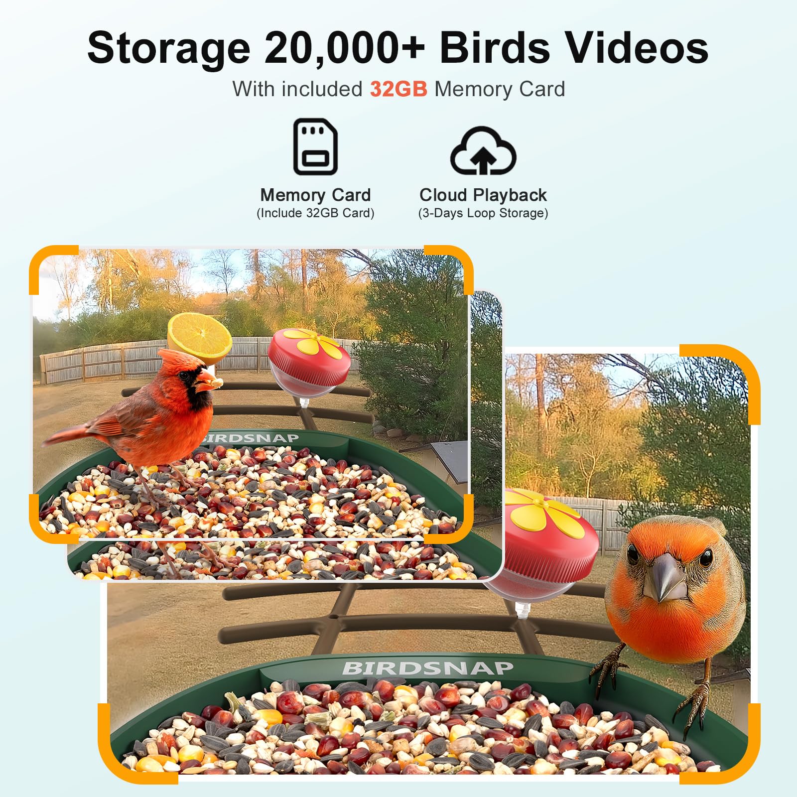 birdsnap PAV Bird Feeder displaying app interface
