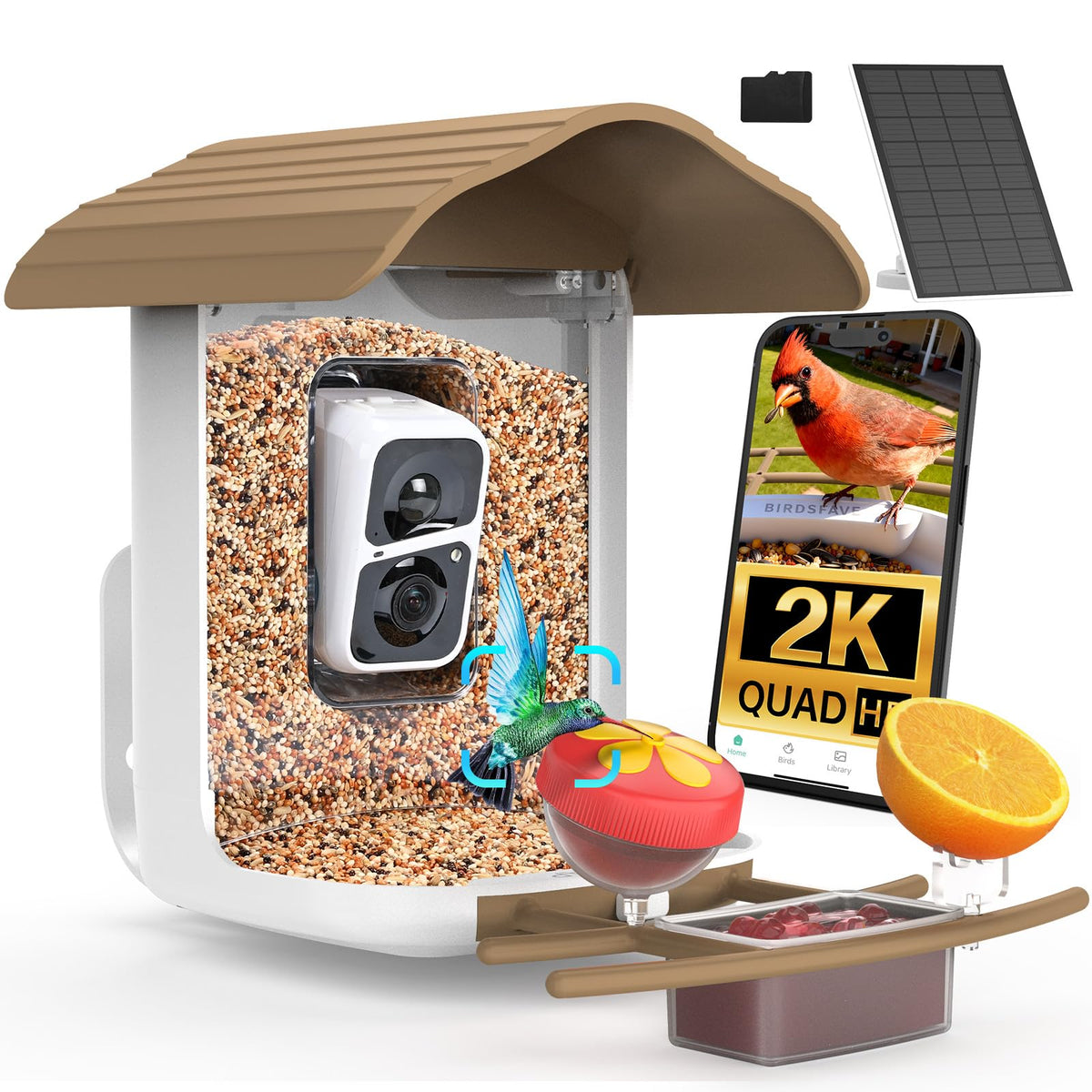 birdsnap PAV Bird Feeder front view with solar panel