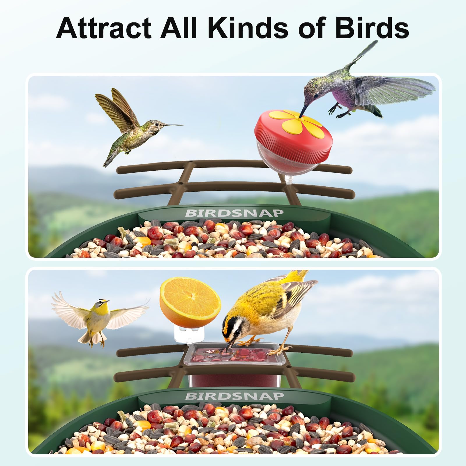 birdsnap PAV Bird Feeder inside packaging