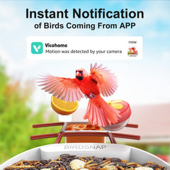 birdsnap PAV Bird Feeder installation kit and manual