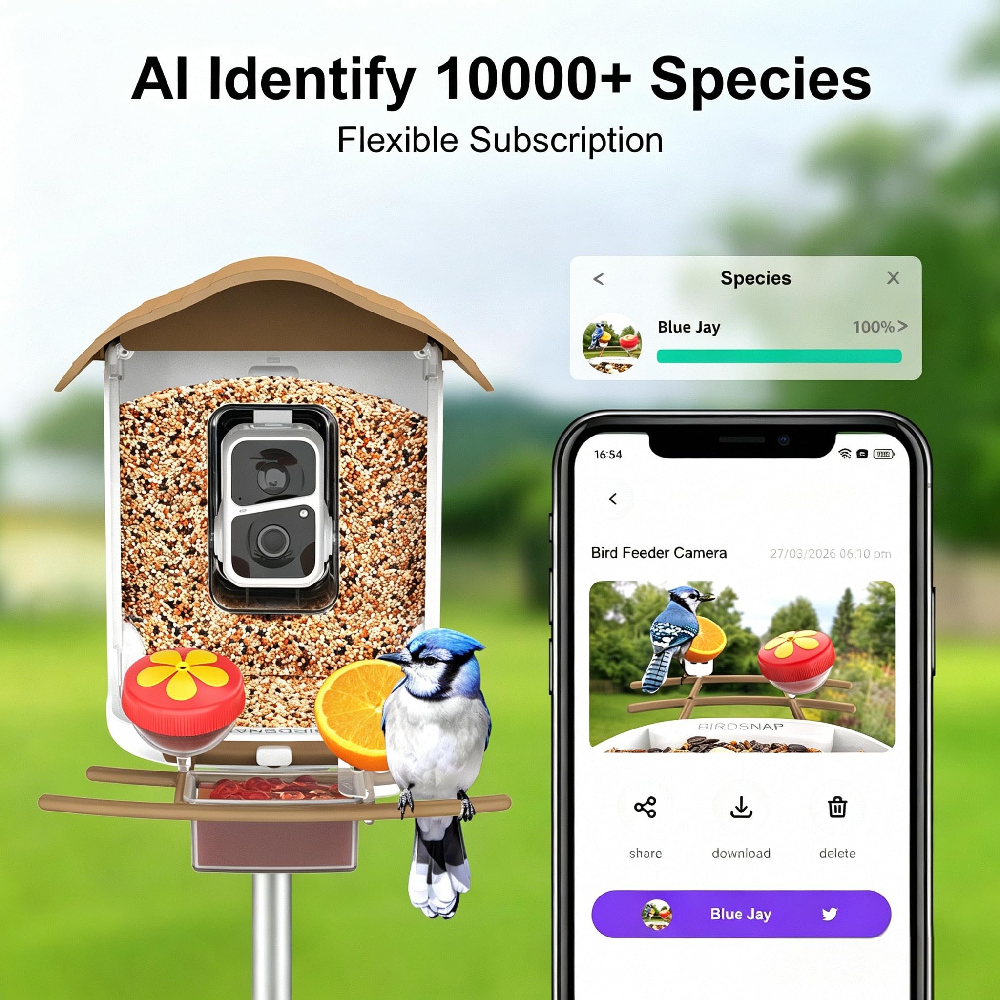 birdsnap PAV Bird Feeder with 2K HD camera and birdwatching app