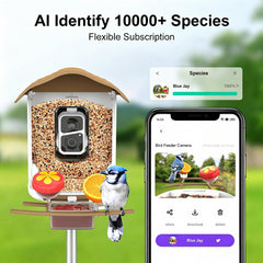 birdsnap PAV Bird Feeder with 2K HD camera and birdwatching app