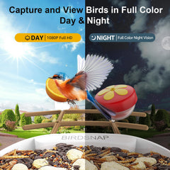 birdsnap PAV Bird Feeder with 64GB storage card included