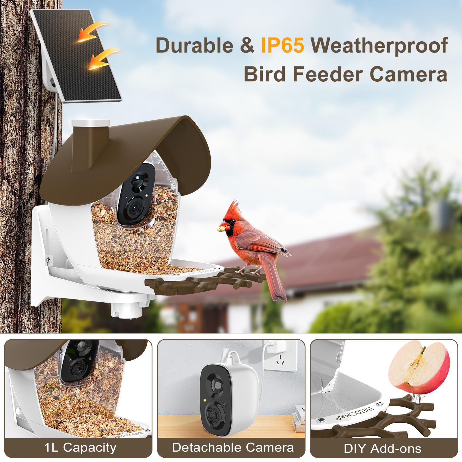 Birdsnap Smart Bird Feeder beside various bird species