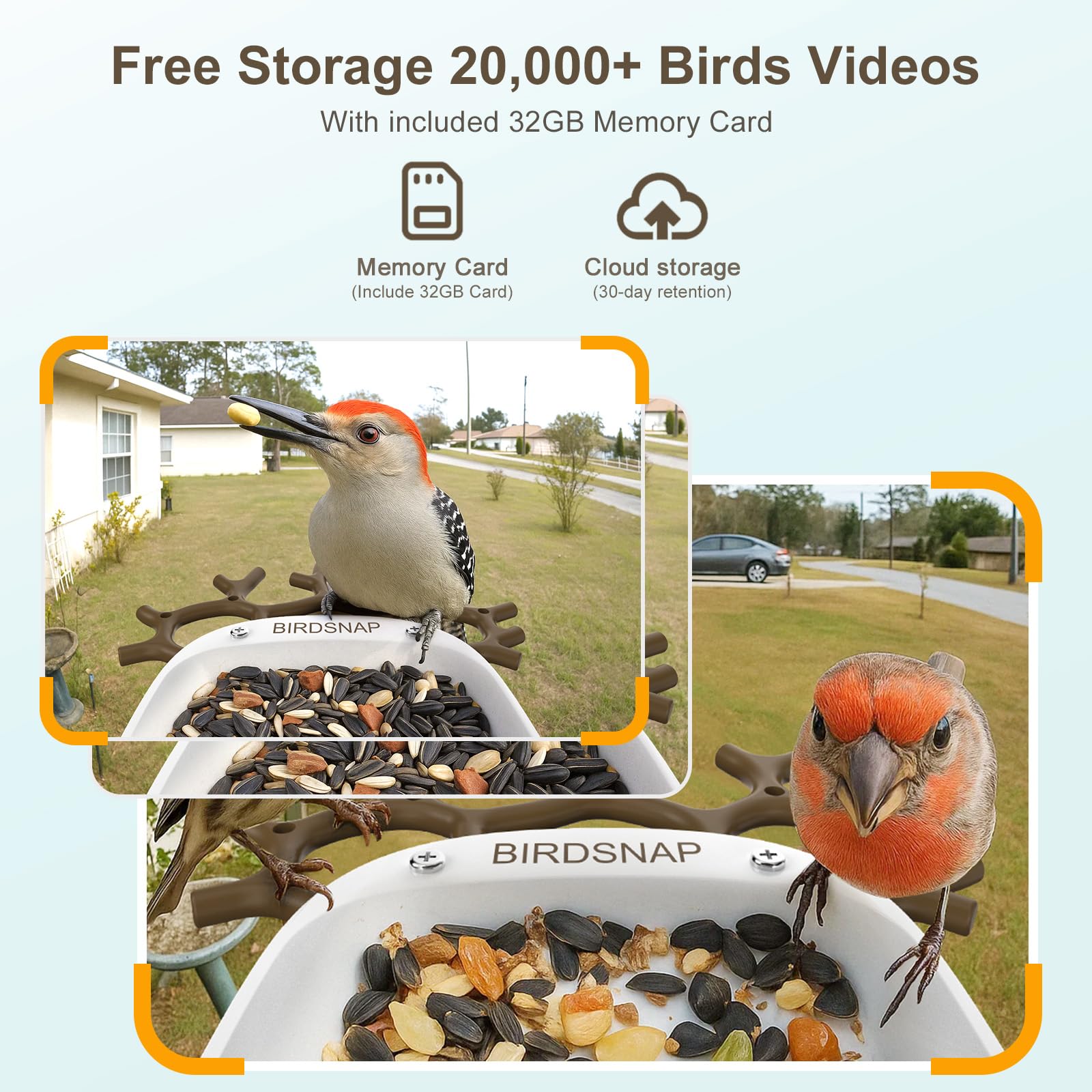 Birdsnap Smart Bird Feeder showing app interface on smartphone