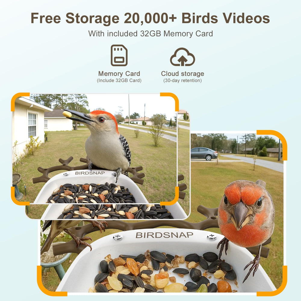 Birdsnap Smart Bird Feeder showing app interface on smartphone