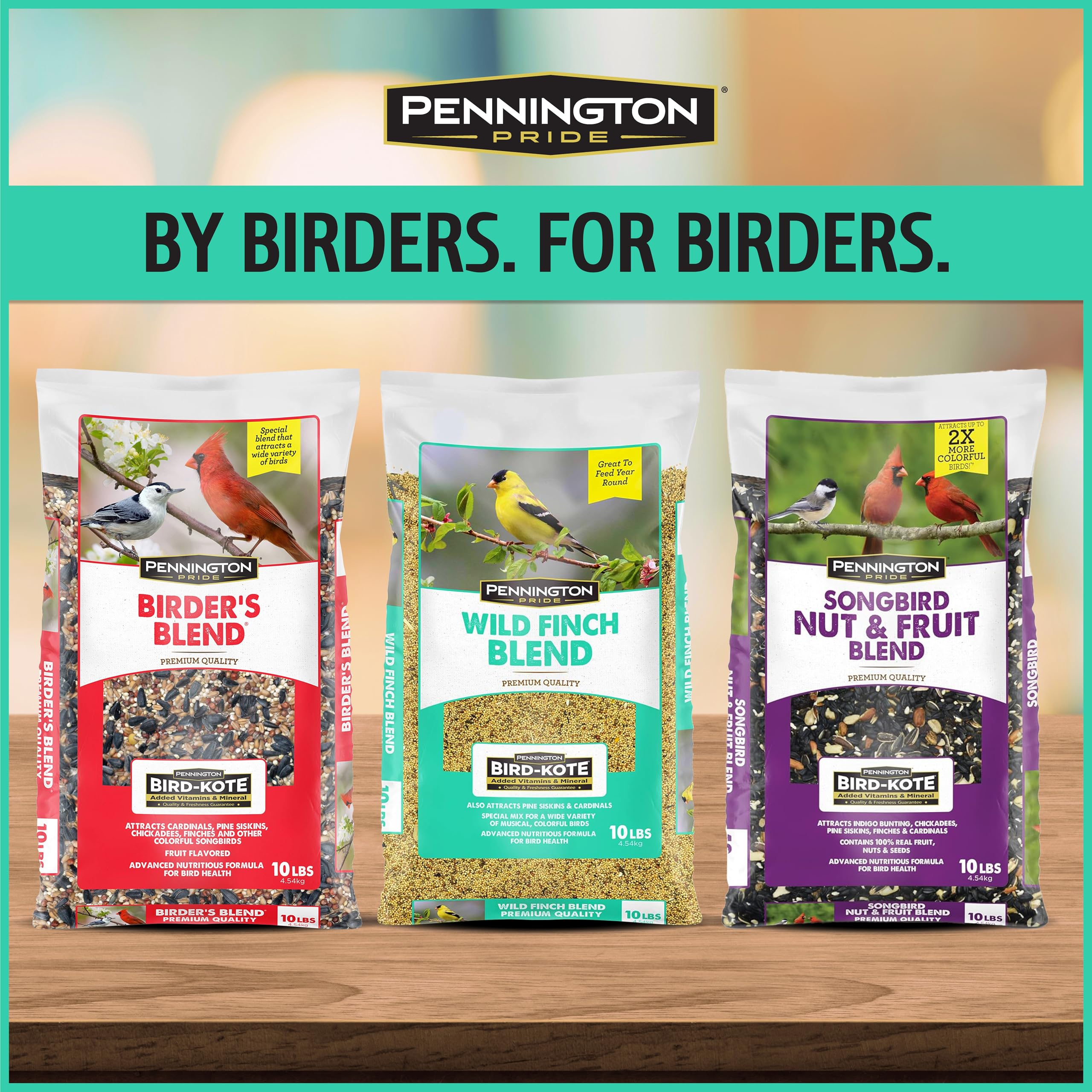 Birdwatching scene with colorful songbirds around feeders