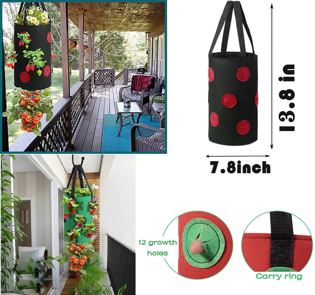 Birheatry 3 Gallon Planter Bag filled with strawberries