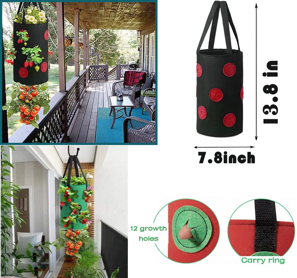 Birheatry 3 Gallon Planter Bag filled with strawberries
