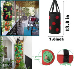 Birheatry 3 Gallon Planter Bag filled with strawberries