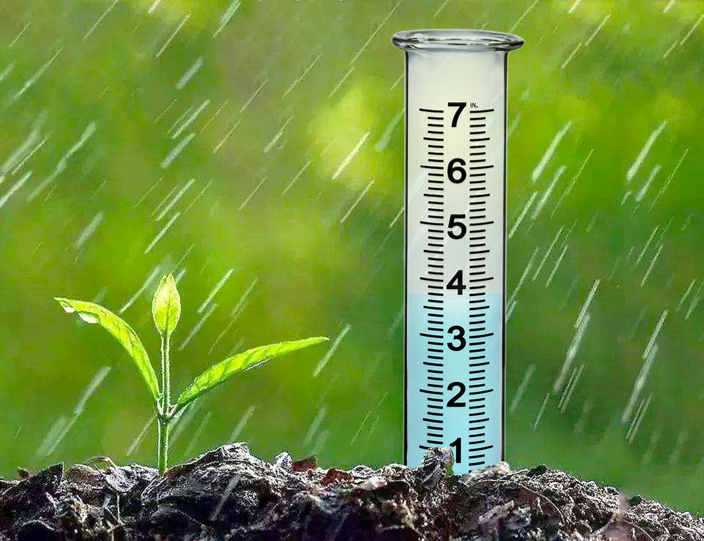 BIUWING rain gauge showing rainfall measurement clearly