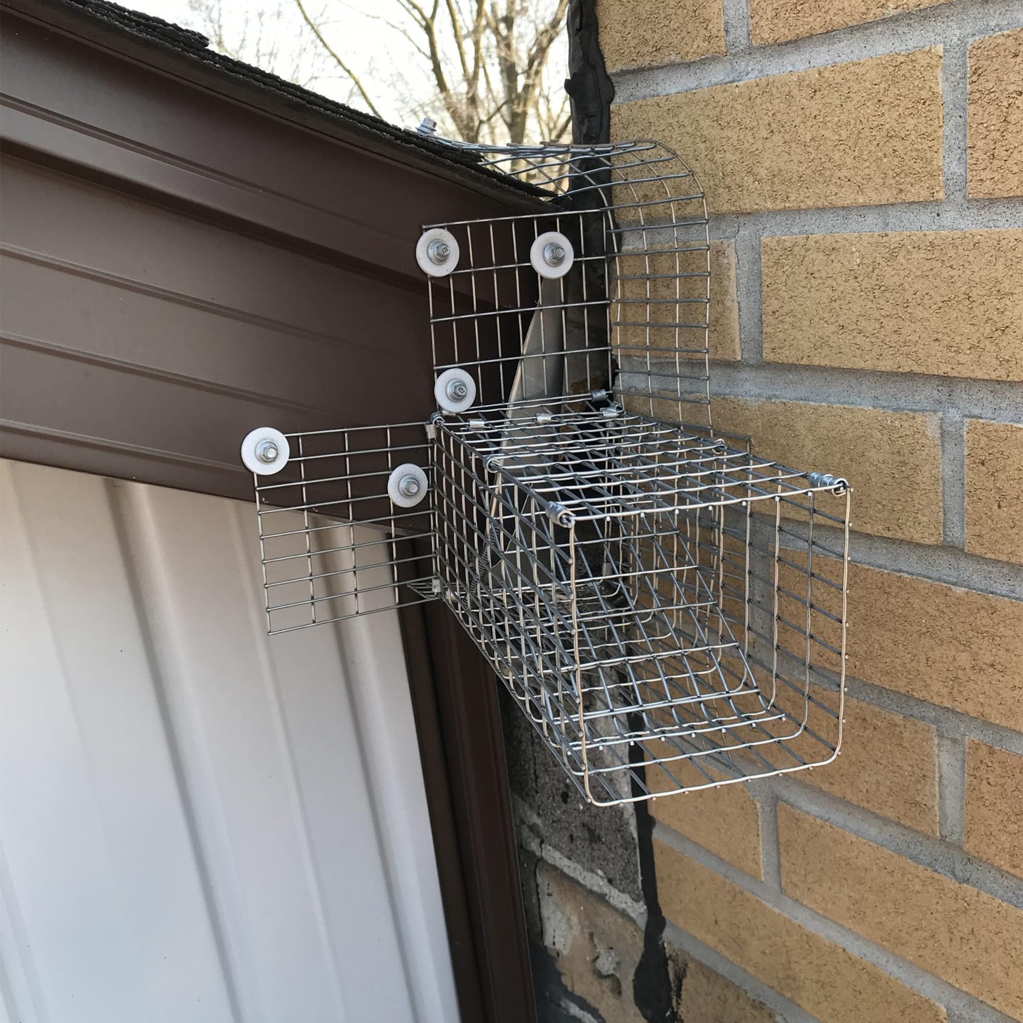 Bkaleme One Way Squirrel Door Excluder displayed in outdoor setting