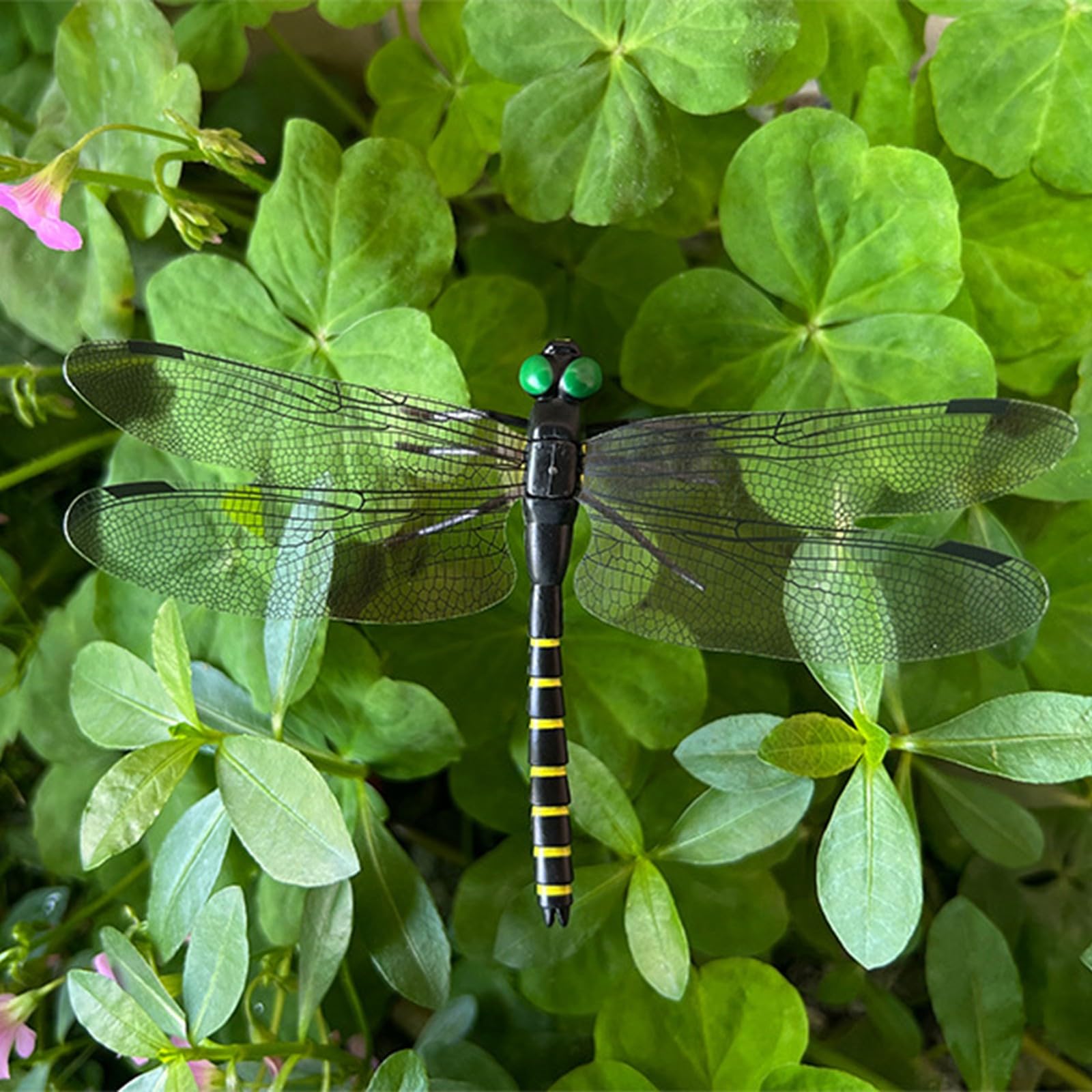 Black Dragon Fly Clips displayed on a patio table