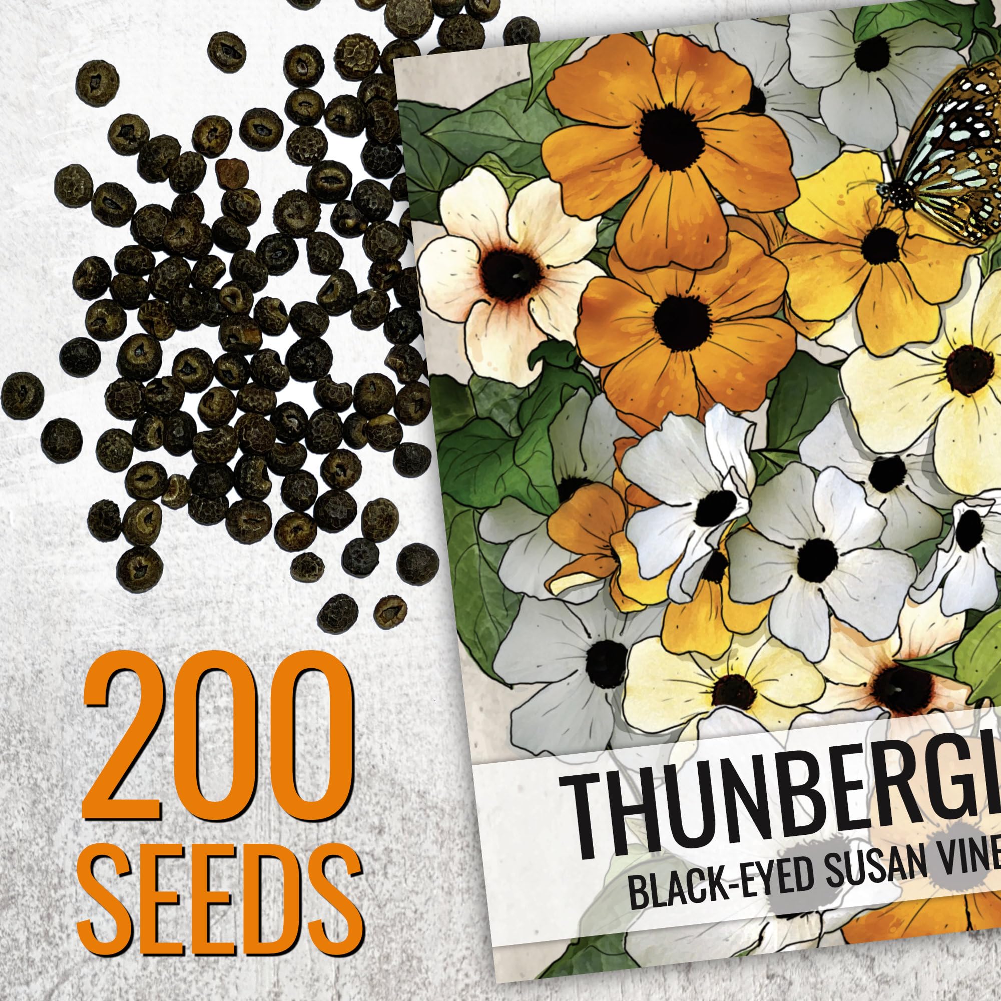 Black-Eyed Susan Vine blooming in a garden