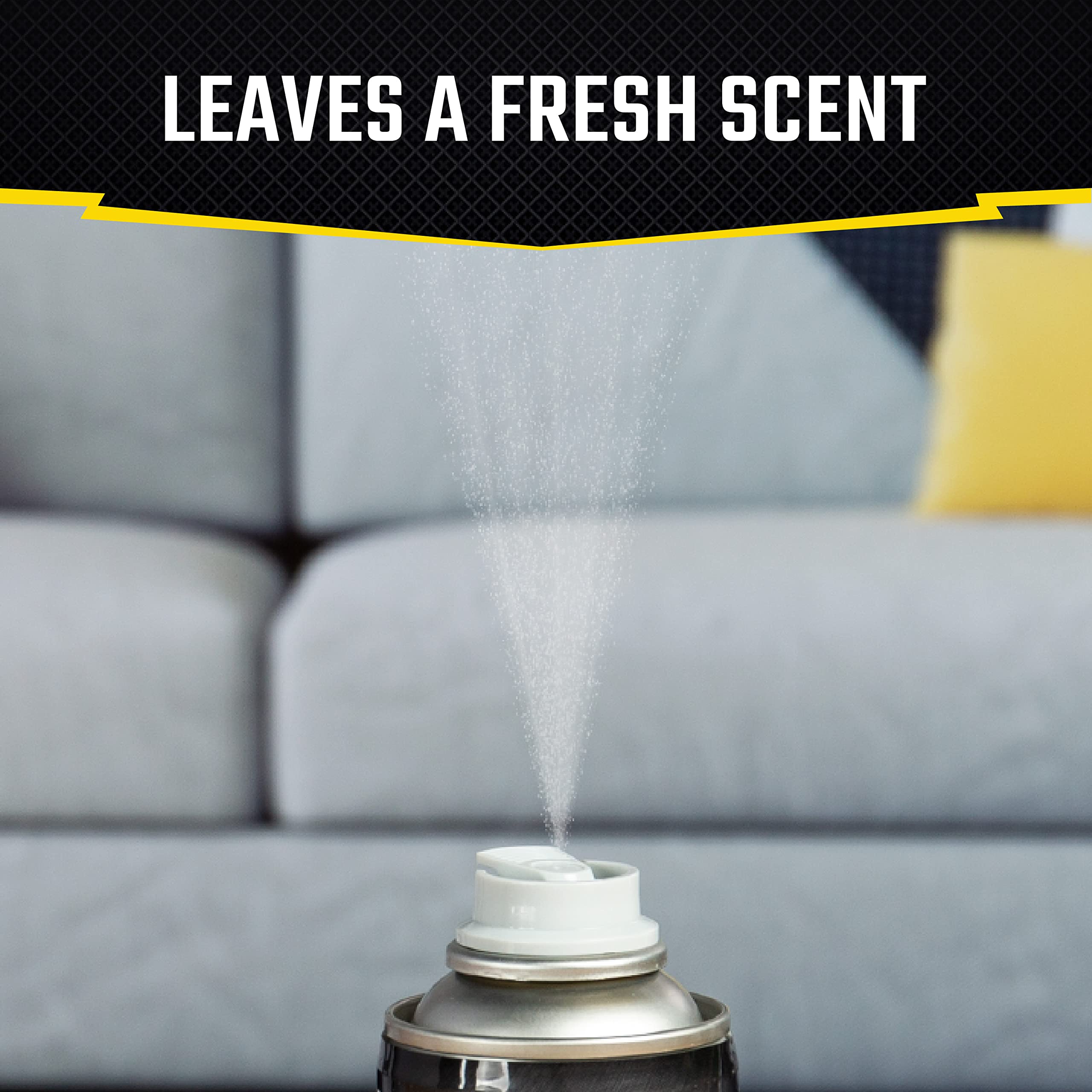 Black Flag Concentrated Fogger can demonstrating indoor use