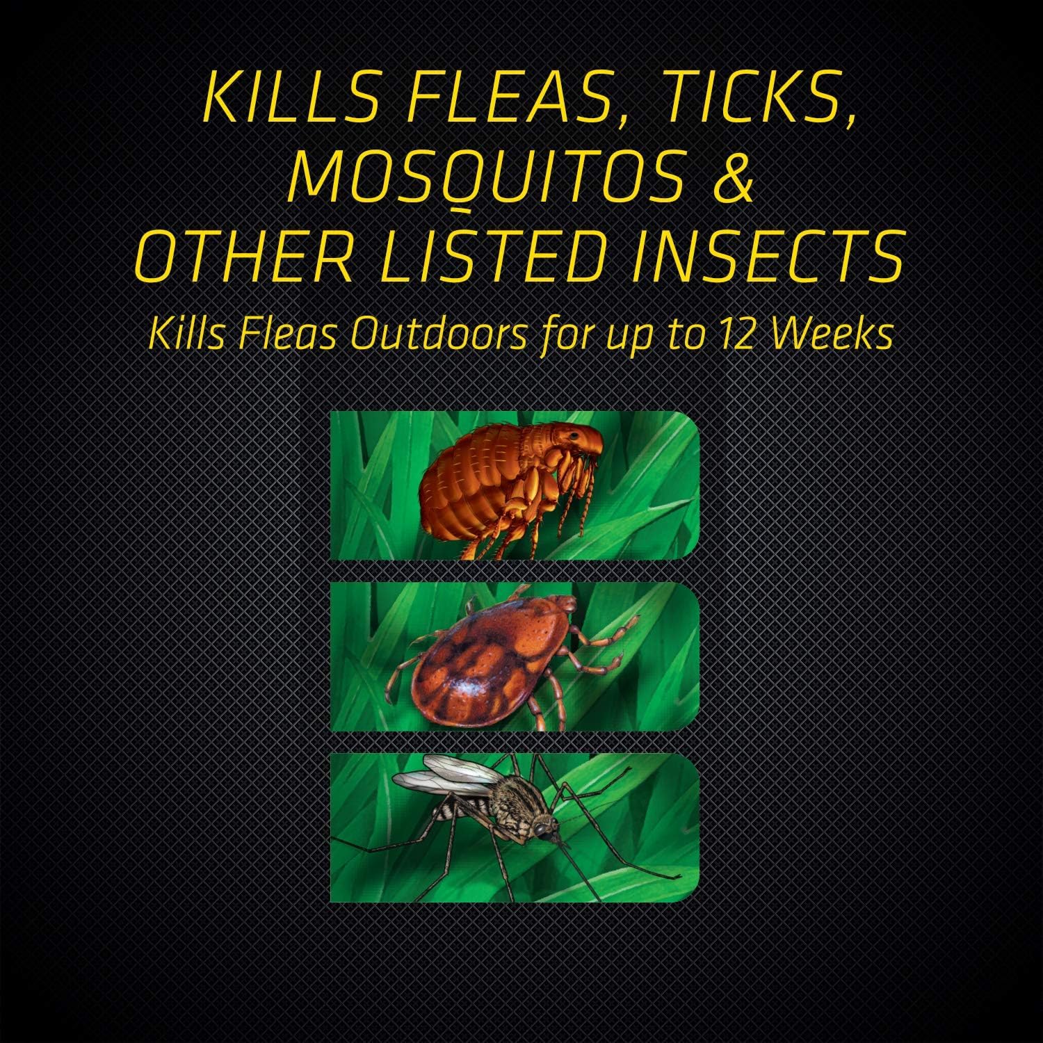 Black Flag Flea and Tick Killer Concentrate product back view