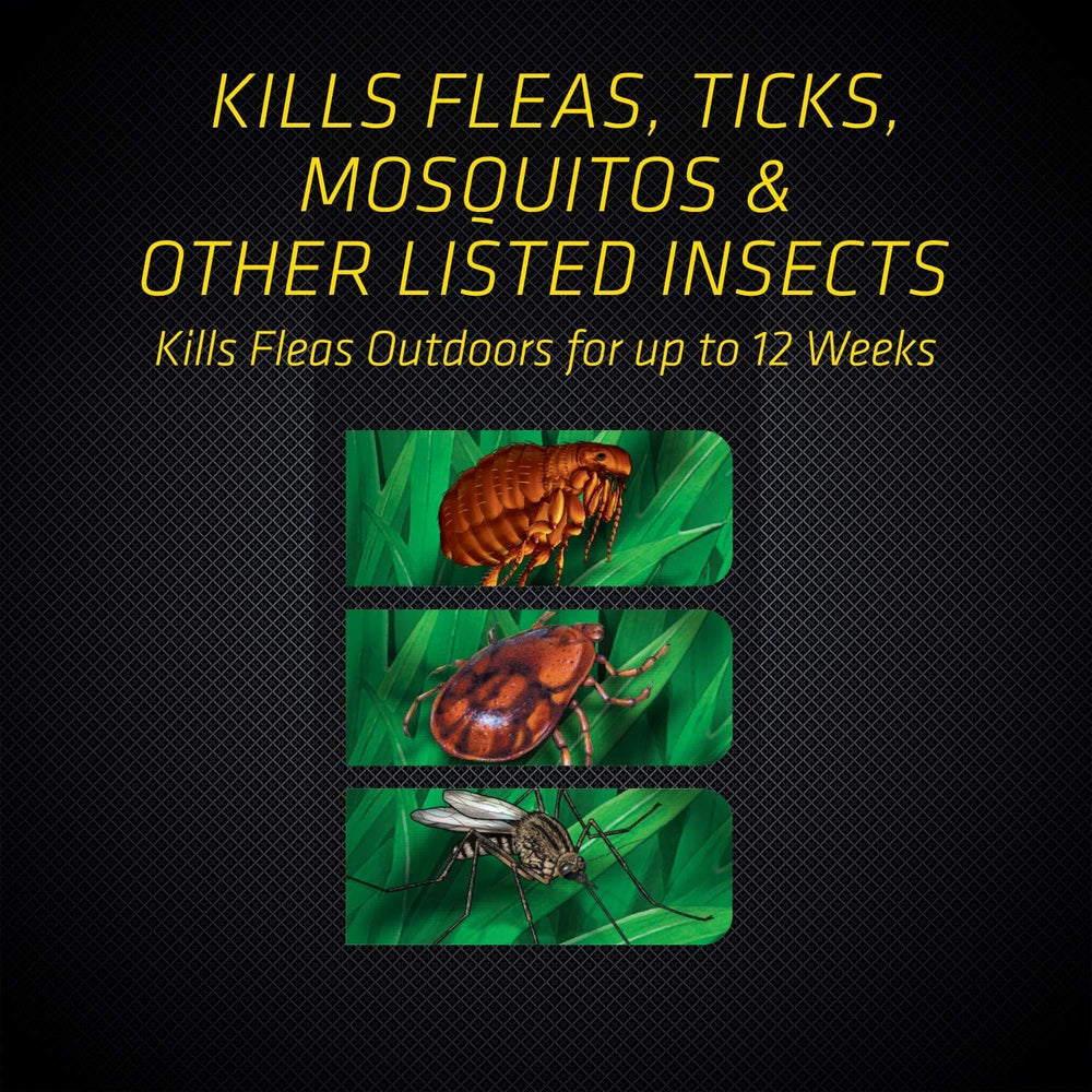 Black Flag Flea and Tick Killer Concentrate product back view