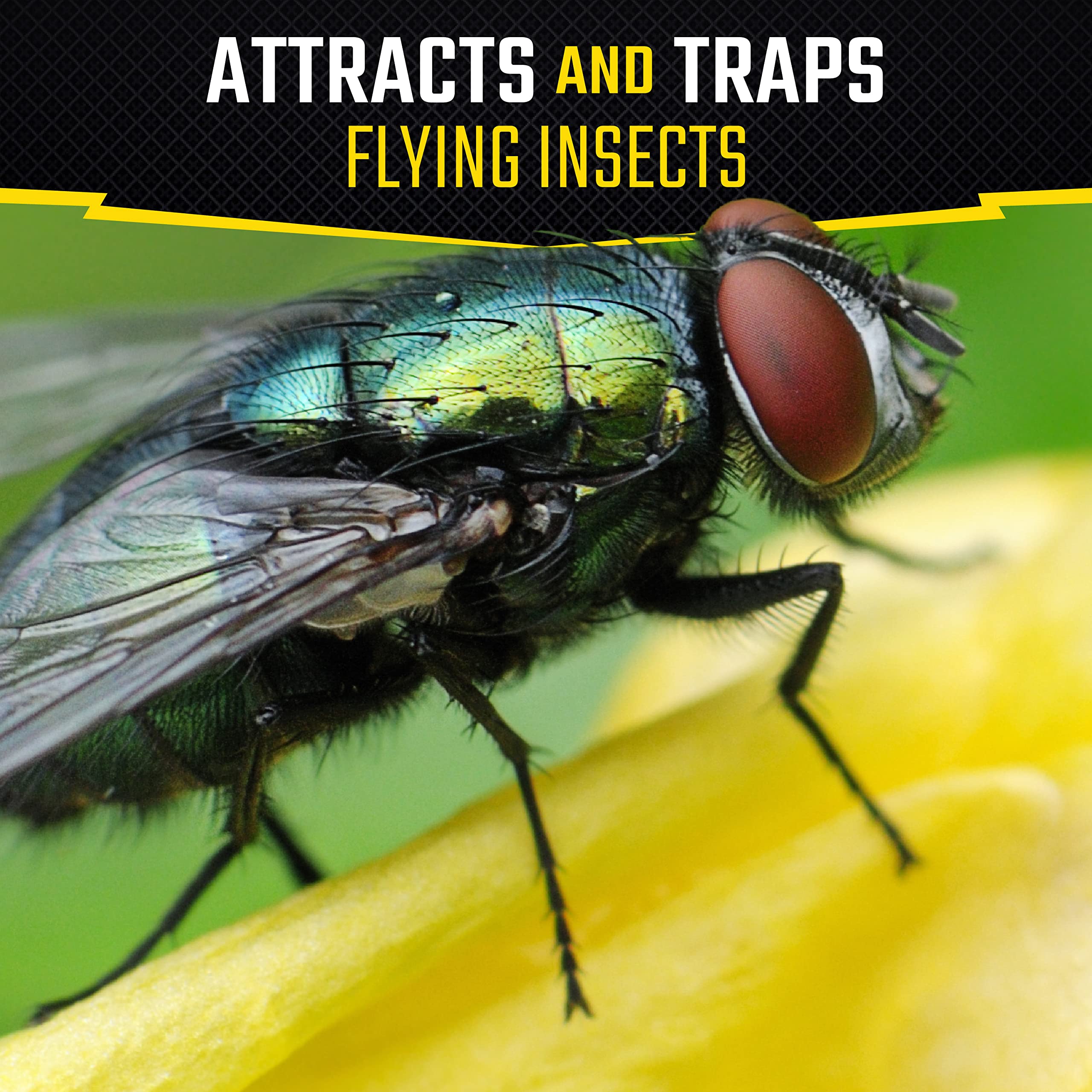 Black Flag Fly Stick hanging vertically with honey for attraction