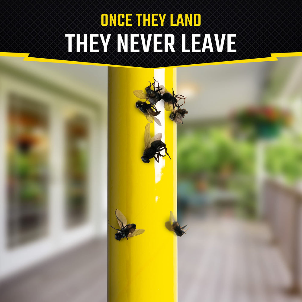 Black Flag Fly Stick packaging showing product details