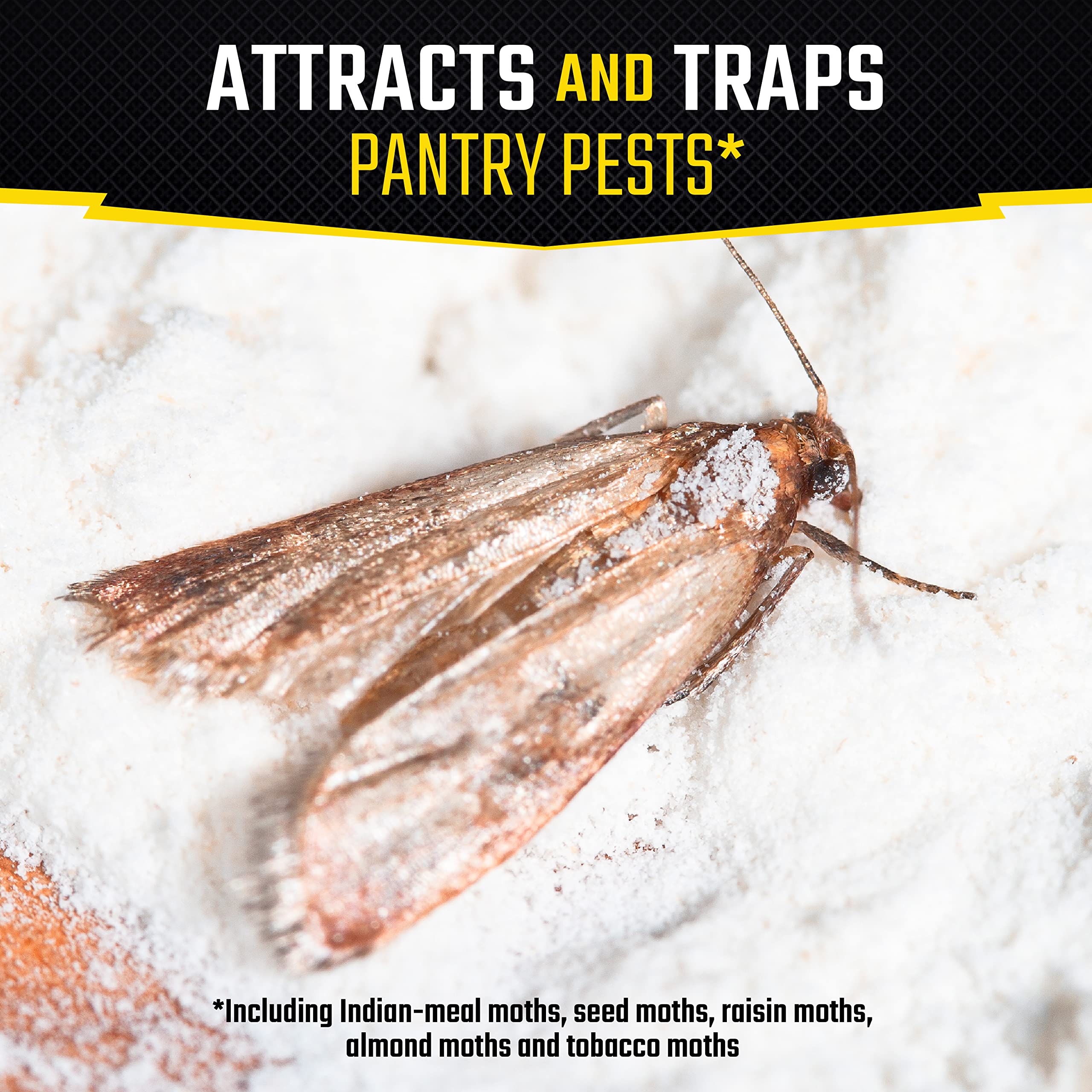 Black Flag Pantry Pest Trap back view with usage instructions