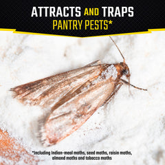 Black Flag Pantry Pest Trap back view with usage instructions