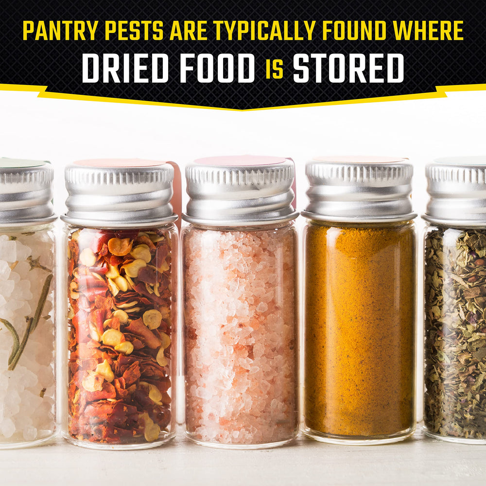 Black Flag Pantry Pest Trap in a pantry with food items