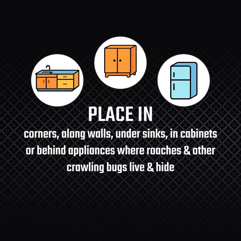 Black Flag Roach Motel Traps corners placement