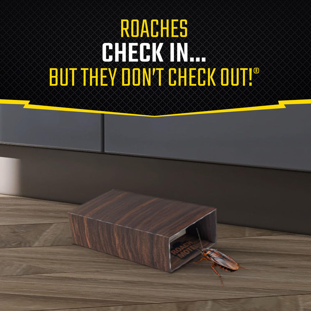 Black Flag Roach Motel Traps packaging details
