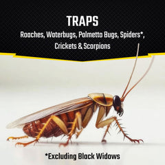 Black Flag Roach Motel Traps showing adhesive surface