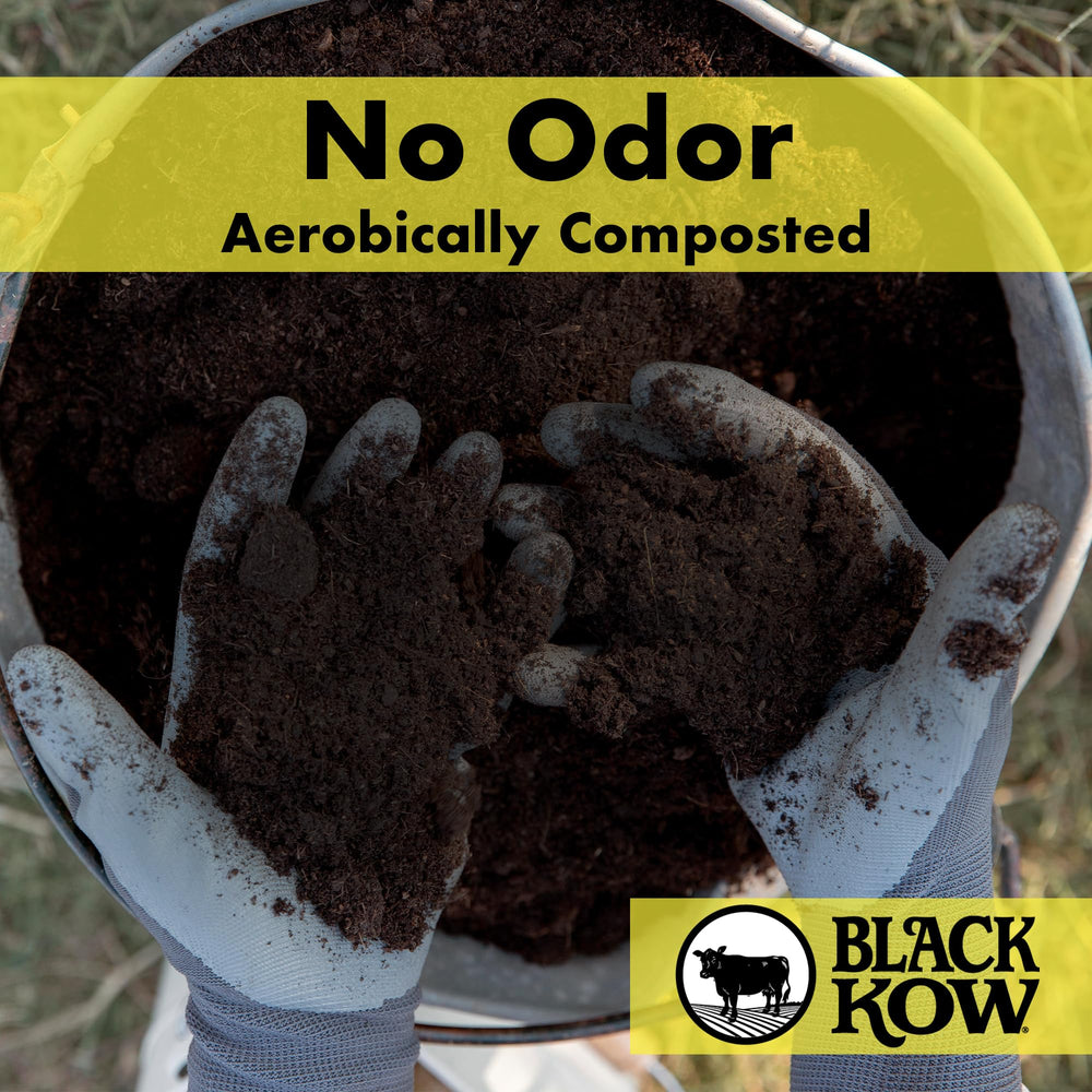 Black Kow Cow Manure Fertilizer in garden soil
