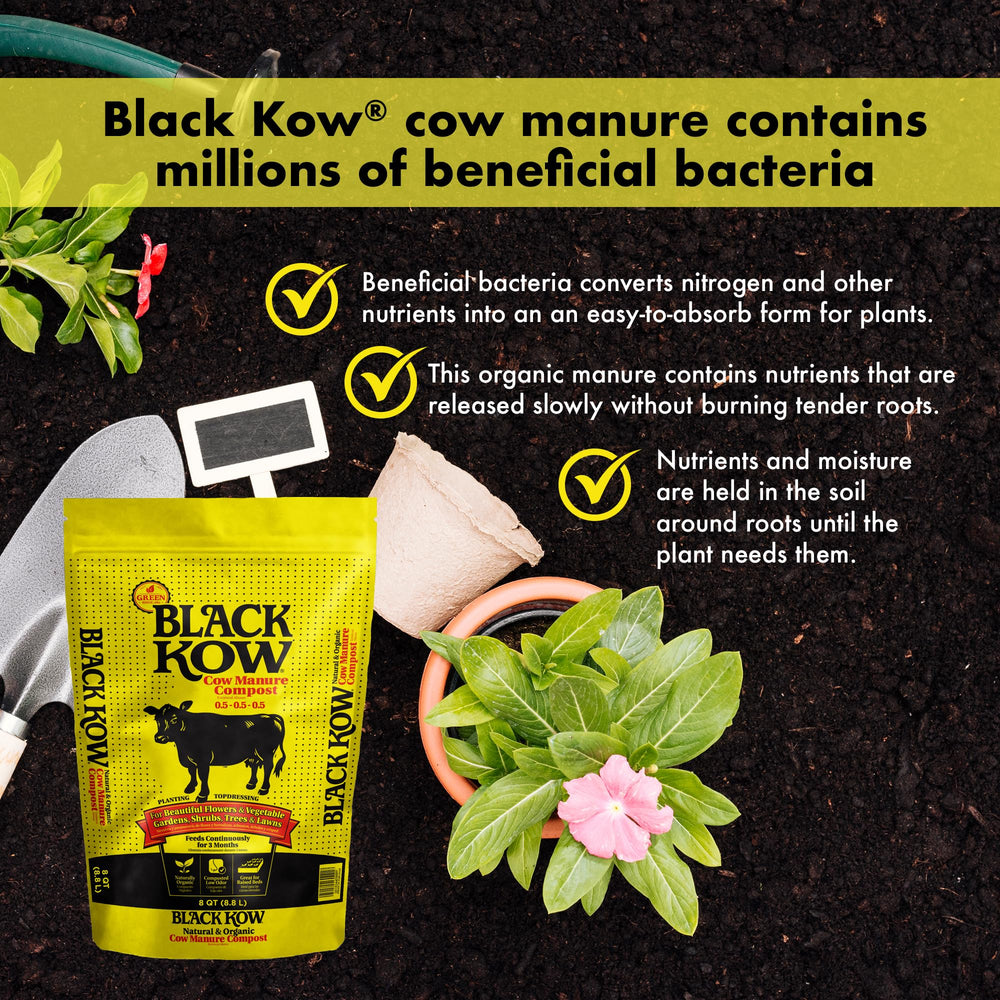 Black Kow Cow Manure Fertilizer used in flower bed
