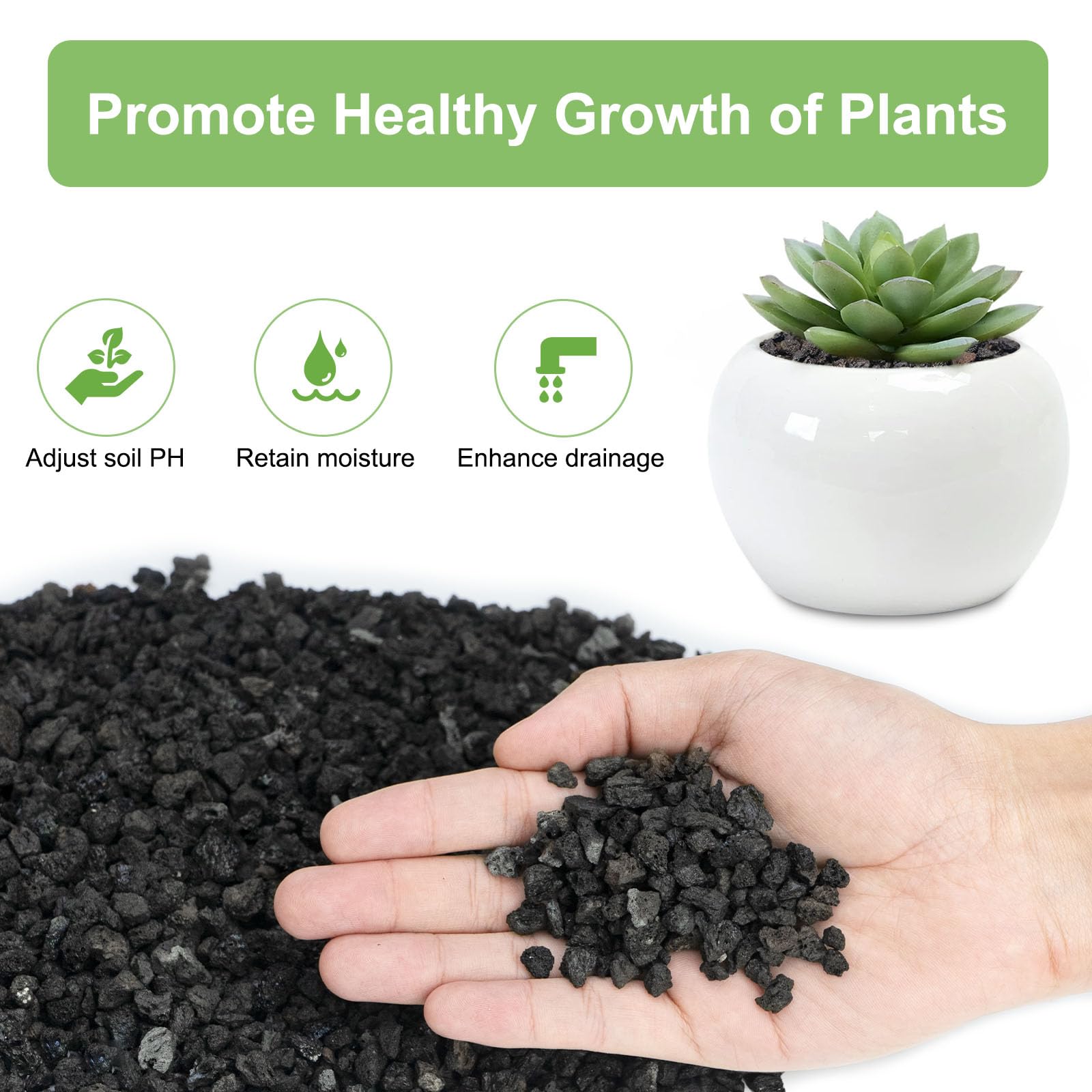 Black lava rocks arranged around succulents in a pot
