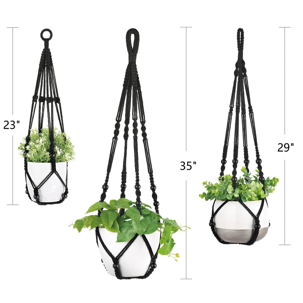 Black macrame plant hanger with beautiful plant inside