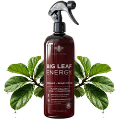 BLESS YOUR SOIL Organic Neem Oil Spray 16oz front view