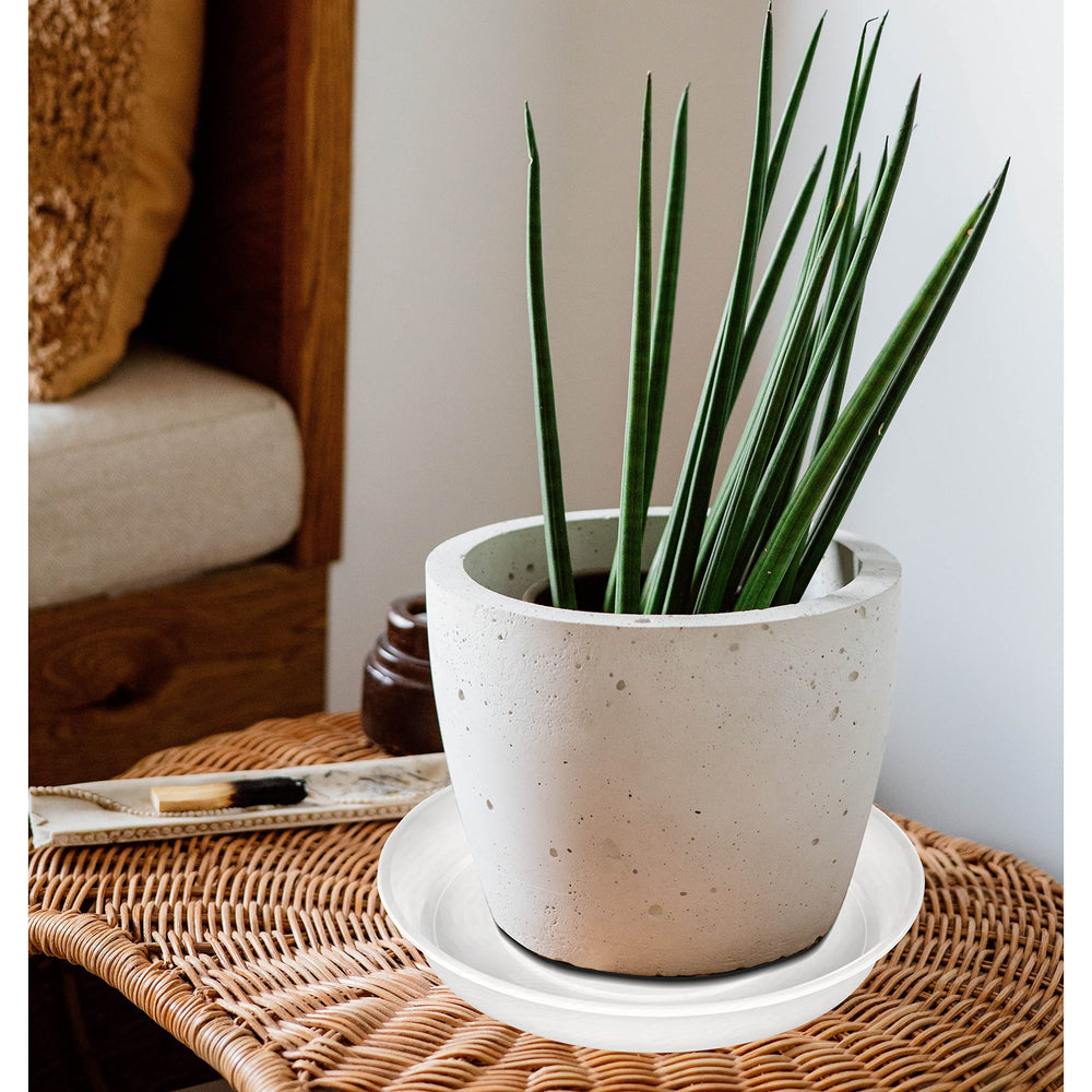 Bleuhome 12-inch clear plant saucer packaging