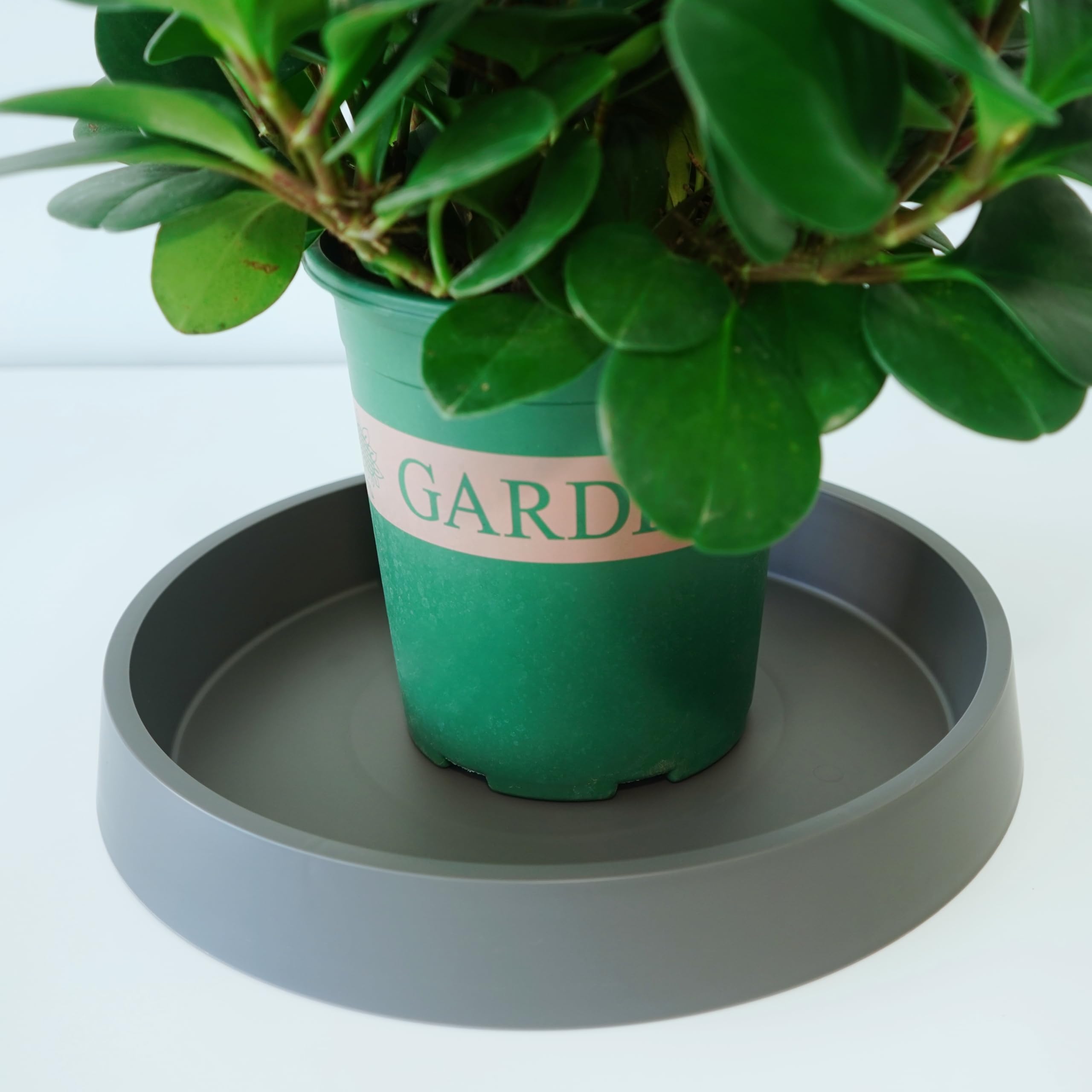 Bleuhome 12 inch gray plant saucer tray outdoor use