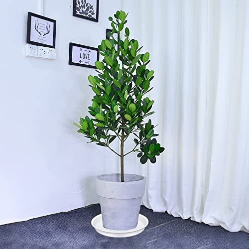 Bleuhome 12 inch plant saucer creamy white under a pot