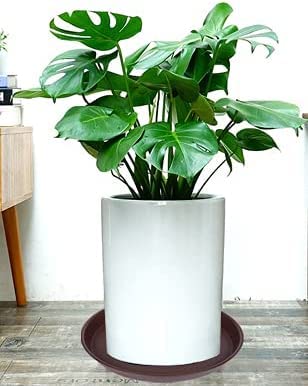 Bleuhome 12-inch plant saucer side view