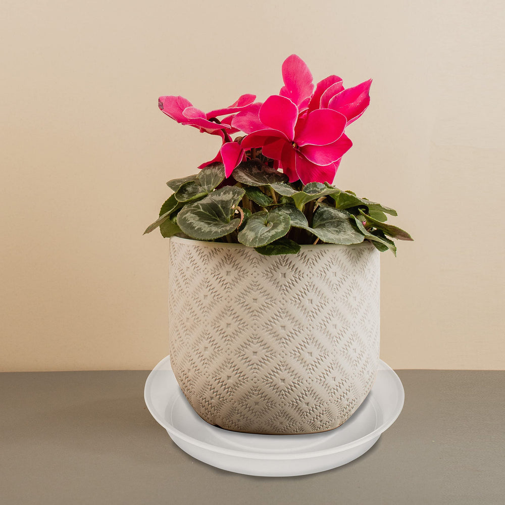 Bleuhome 12-inch plant saucer with potted plant